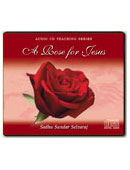 A Rose for Jesus